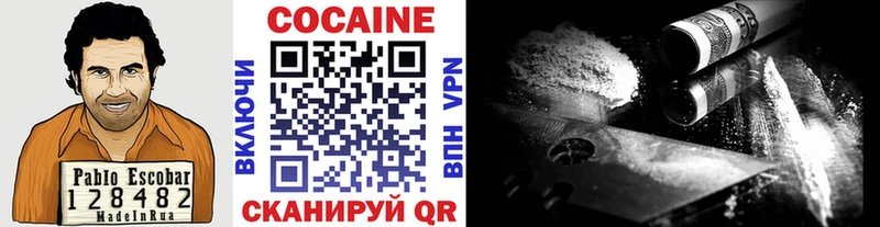 Cocaine Fish Scale  где можно купить наркотик  Саянск 