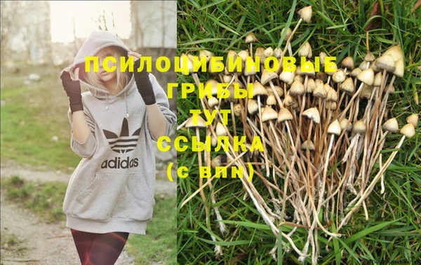 экстази Абинск