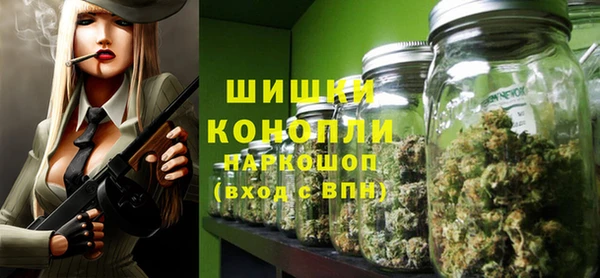 индика Абдулино