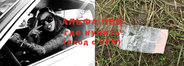 гашик Абаза