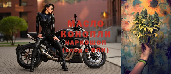 гашик Абаза