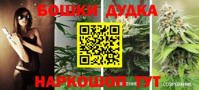 трава Новозыбков