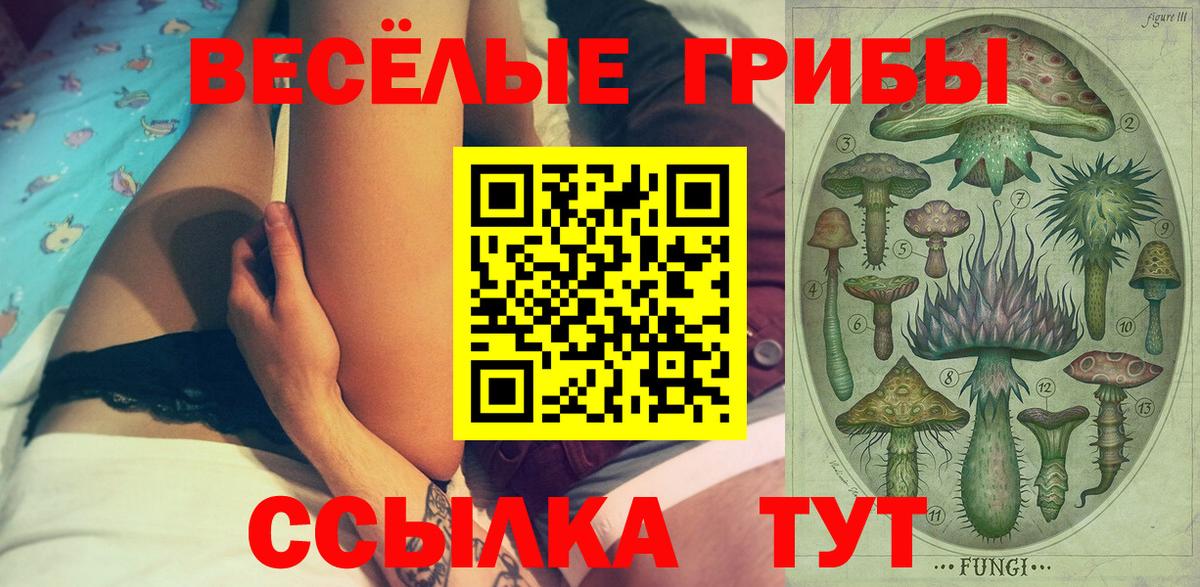 Псилоцибиновые грибы ЛСД Саянск