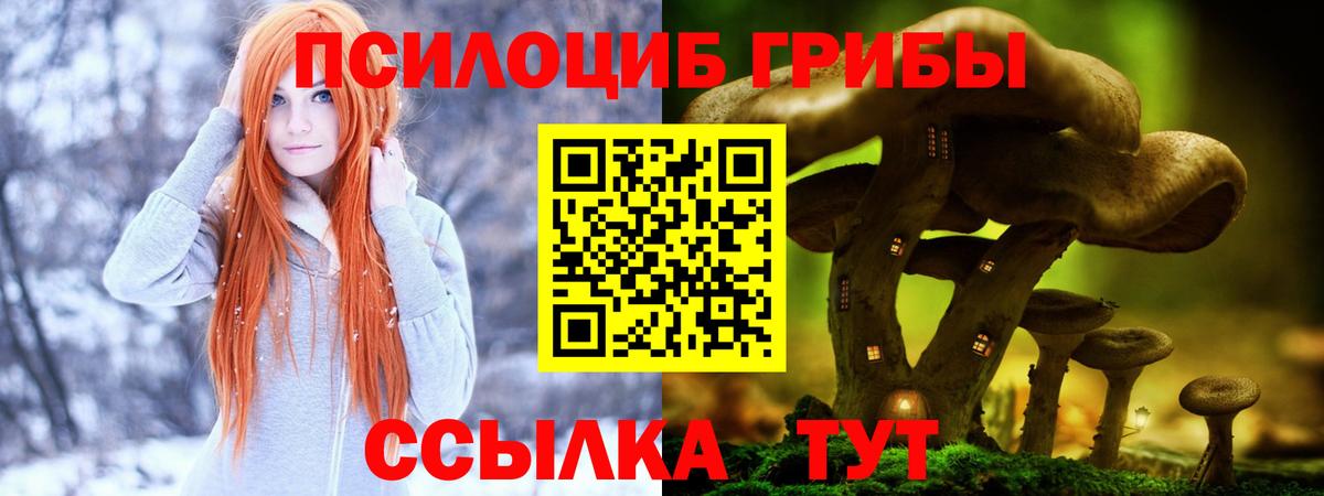Саянск  Псилоцибиновые грибы прущие грибы  Вход с VPN 